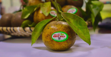 Phố bún hương việt
