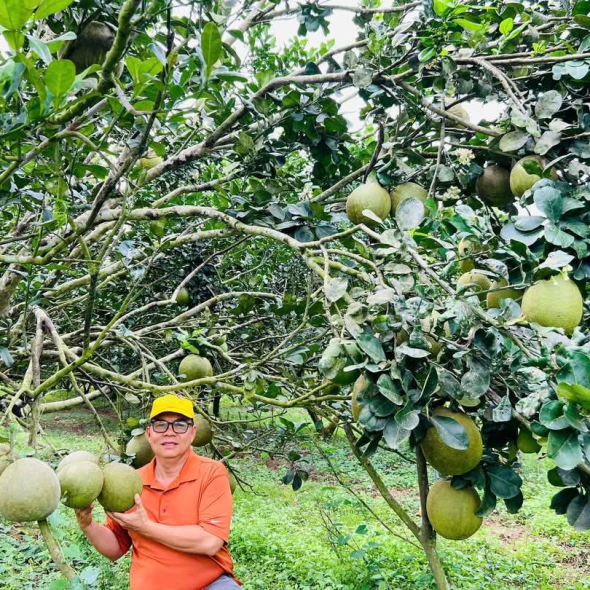 Phố bún hương việt