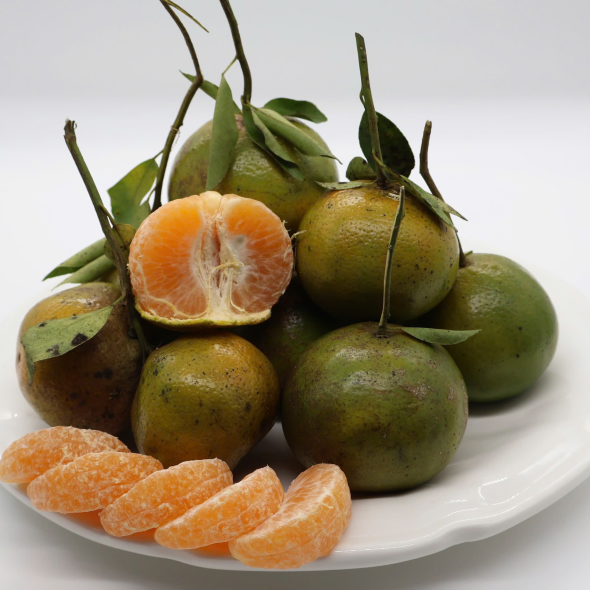 Phố bún hương việt